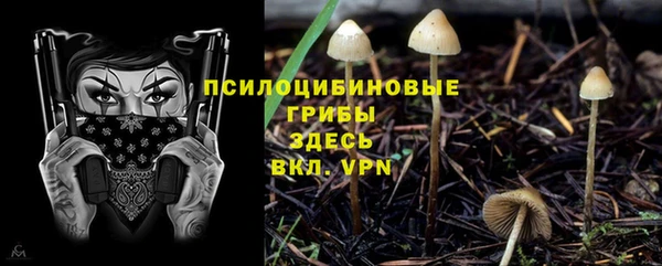 прущая мука Балахна