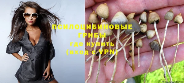 мескалин Баксан