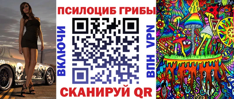магазин    Бодайбо  Псилоцибиновые грибы прущие грибы 